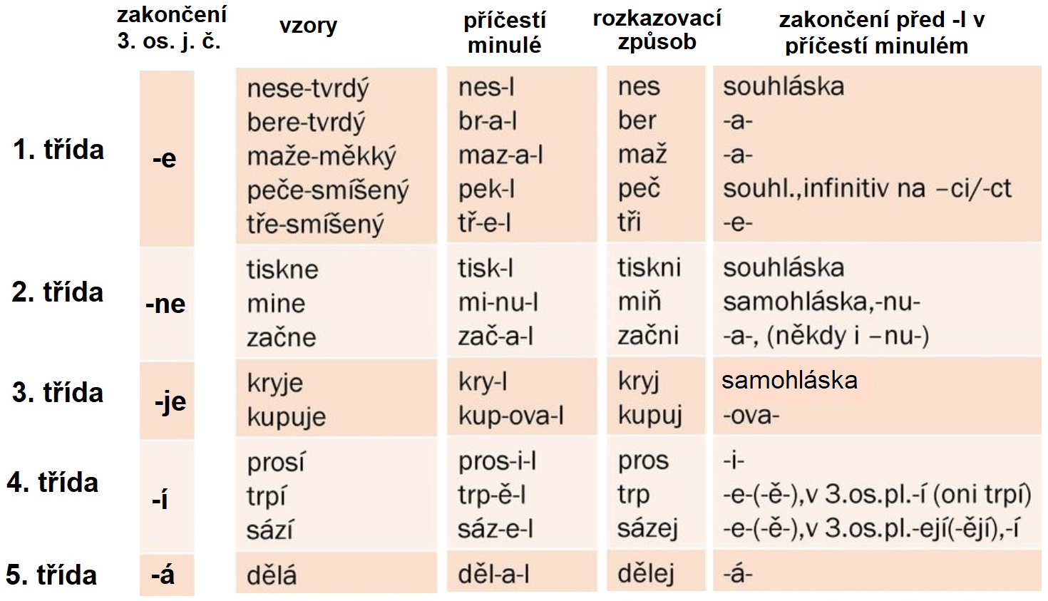 Jak urcit tridu a vzor?