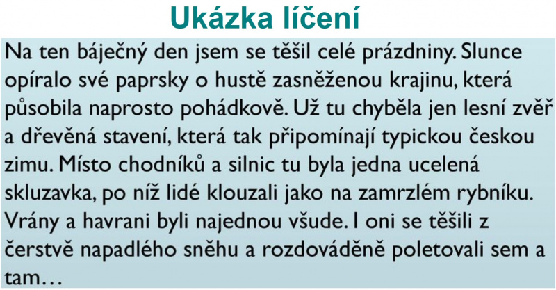Jak napsat subjektivně zabarvený popis?
